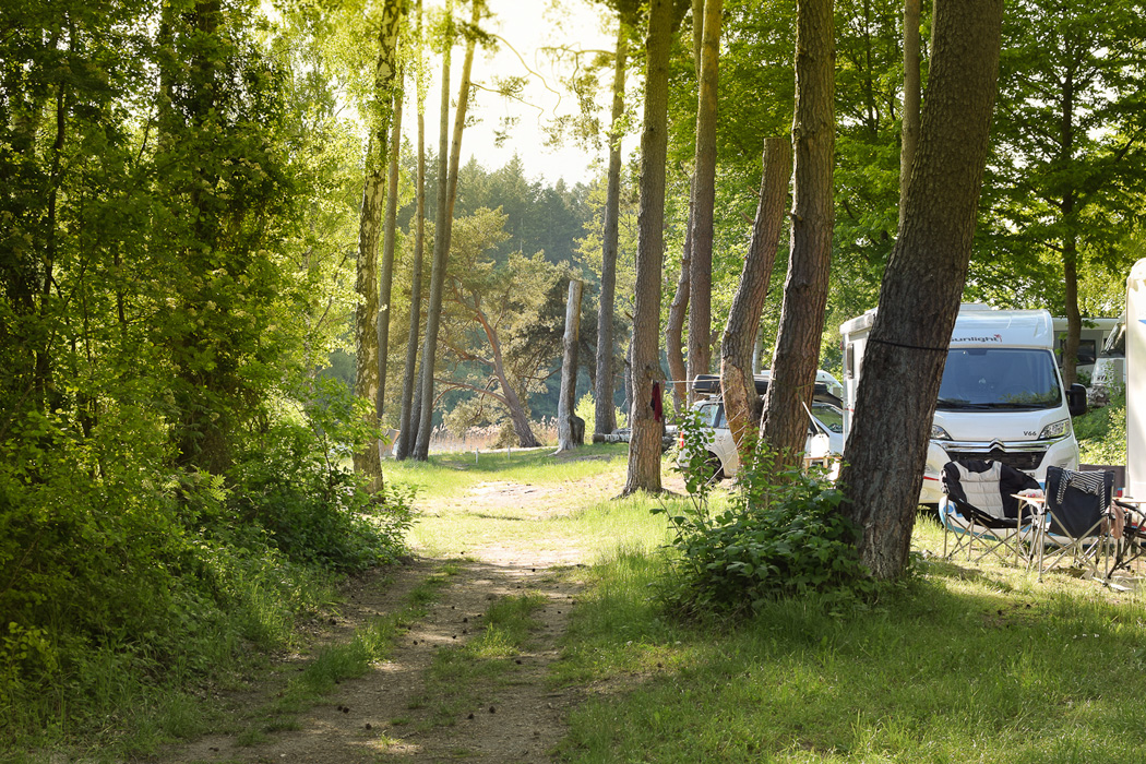 Wurzelweg 01