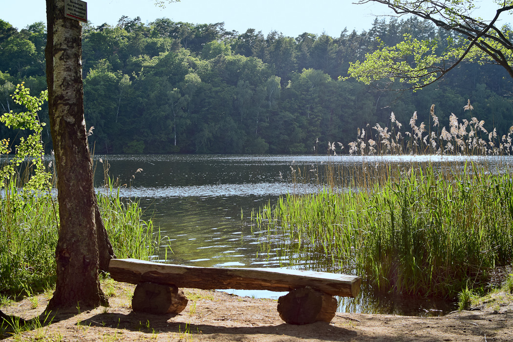 Bank Salemer See