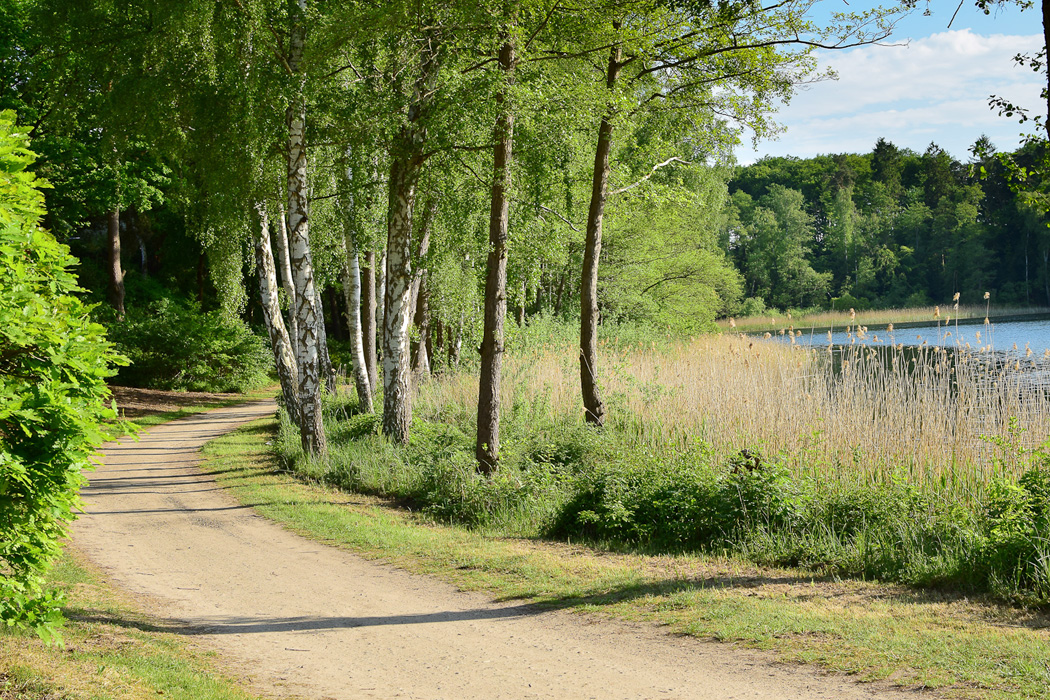 Wanderweg am Salemer See