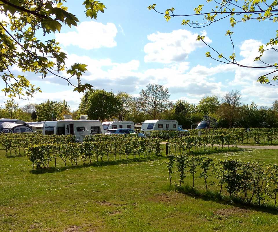 cleopatrawiese-camping-salemer-see